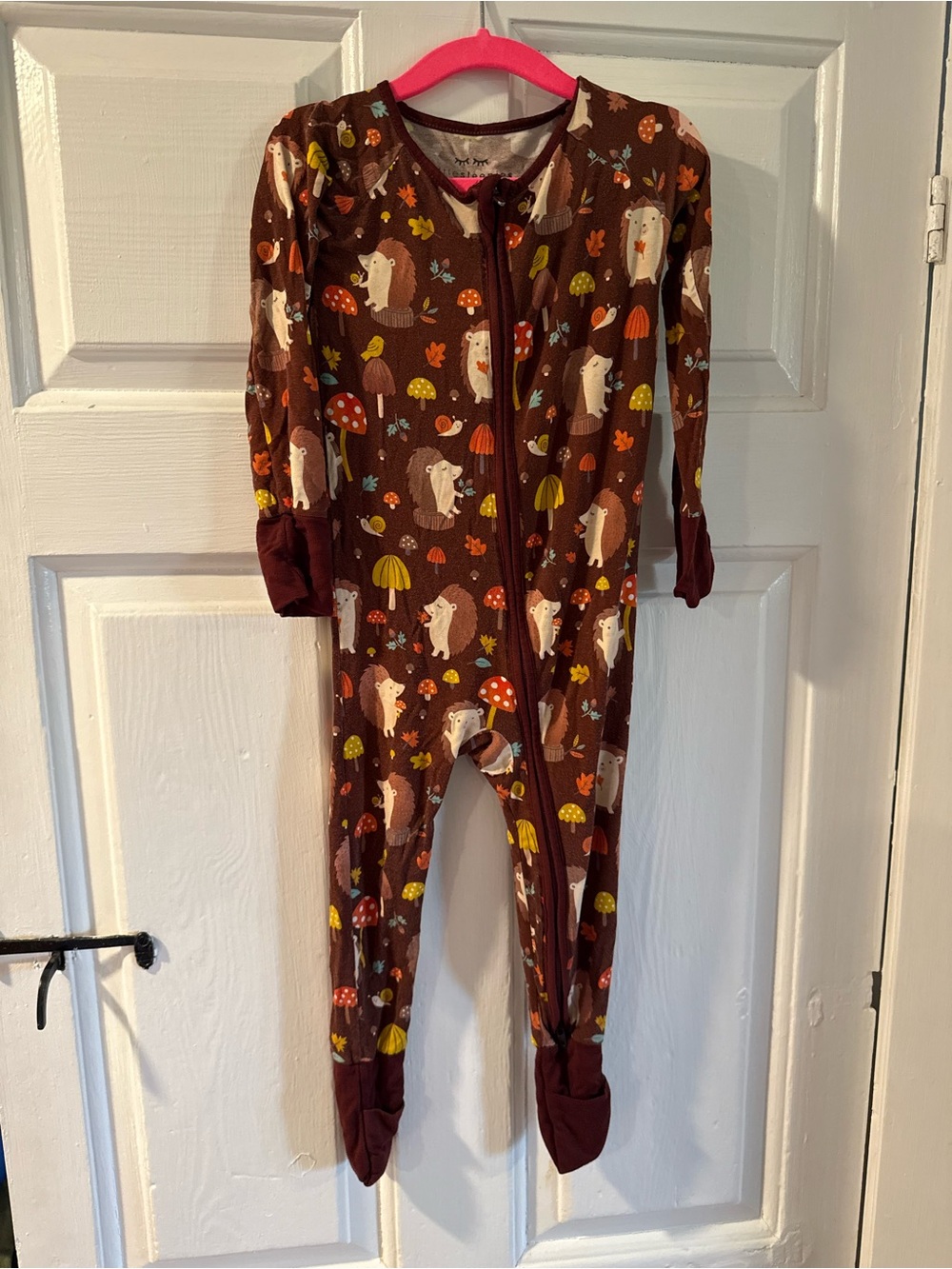 Little Sleepies zippy footie pajamas - Hedgehog